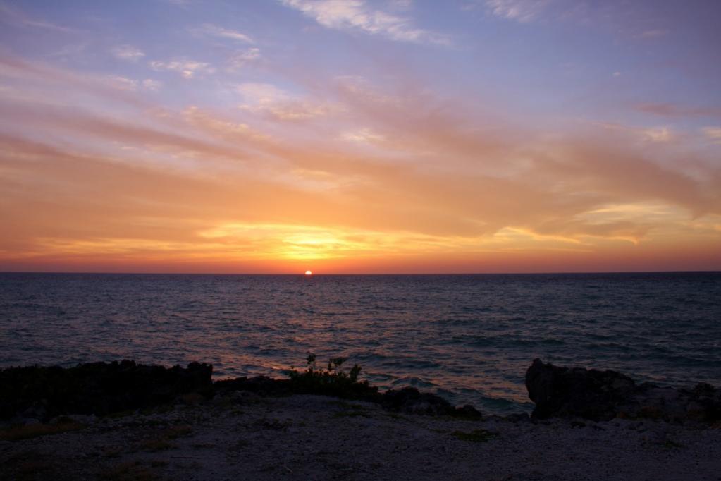 Name:  IMG_6609 (1024x683).jpg
Views: 785
Size:  55.8 KB