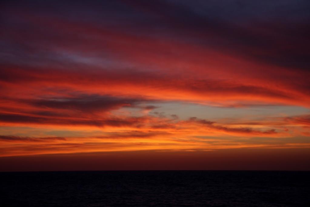 Name:  IMG_6624 (1024x683).jpg
Views: 804
Size:  35.5 KB