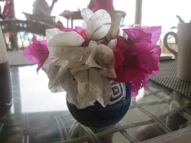 Name:  713.JPG
Views: 385
Size:  80.0 KB