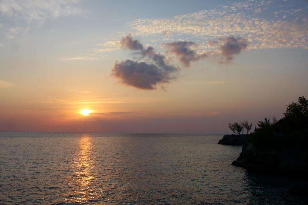 Name:  IMG_6740 (1024x683).jpg
Views: 758
Size:  60.4 KB