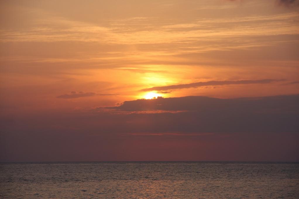 Name:  IMG_6746 (1024x682).jpg
Views: 768
Size:  45.3 KB