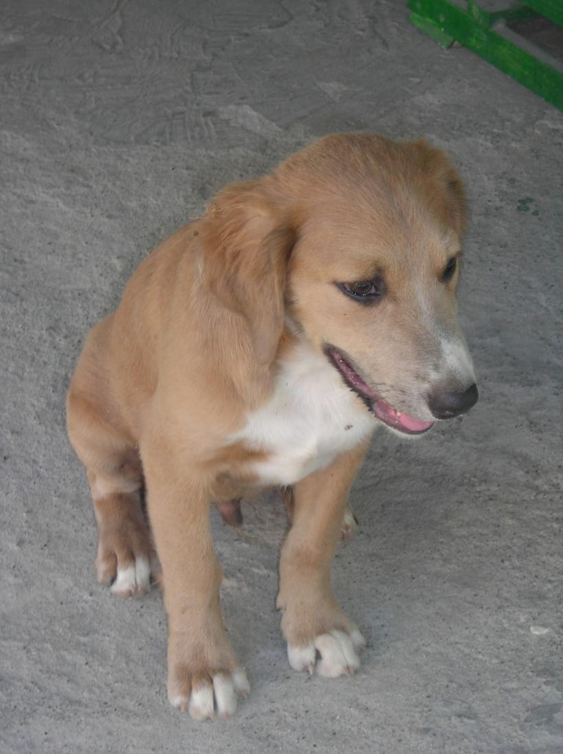 Name:  DSCN1195.jpg
Views: 1027
Size:  89.9 KB