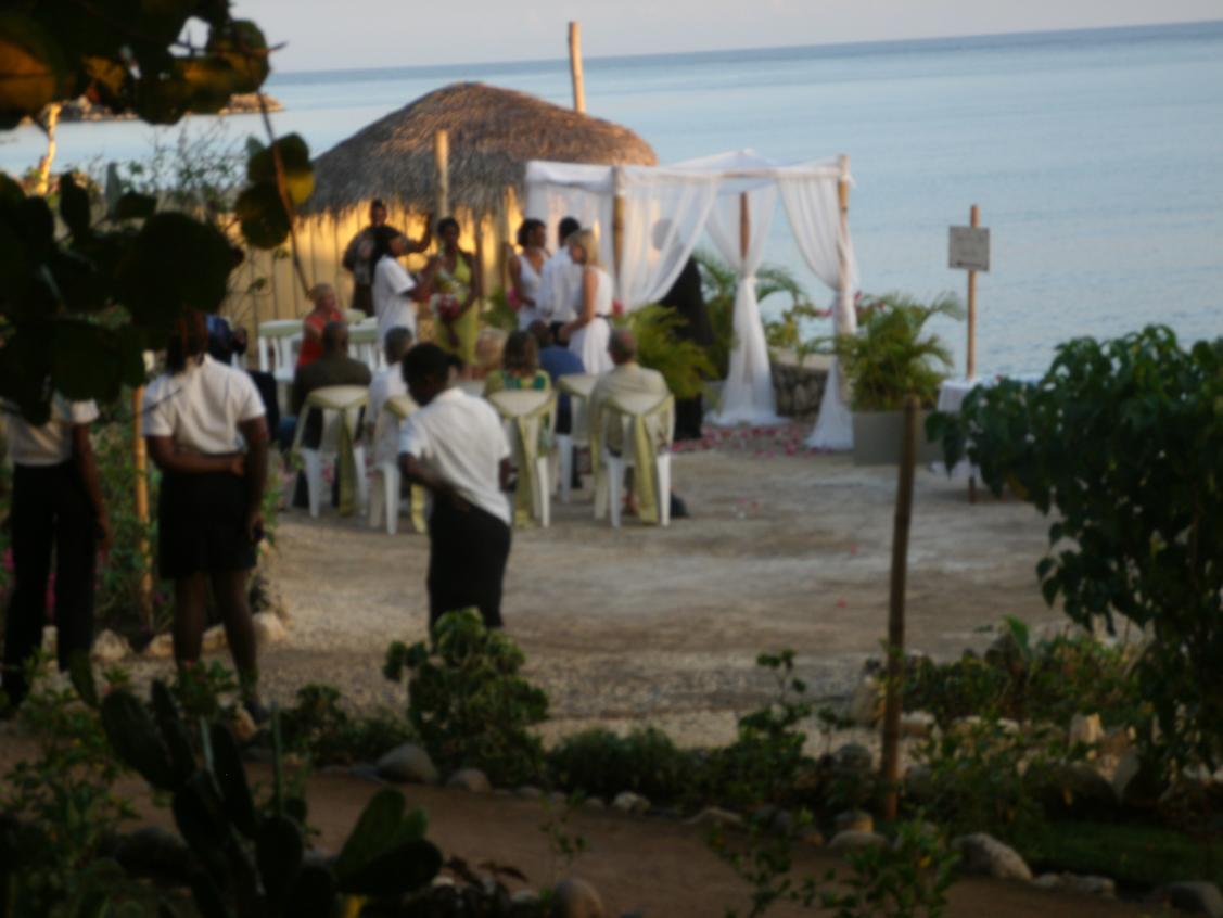 Name:  120.jpg
Views: 468
Size:  80.3 KB