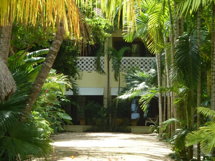 Name:  Negril 2012 296.jpg
Views: 576
Size:  99.6 KB