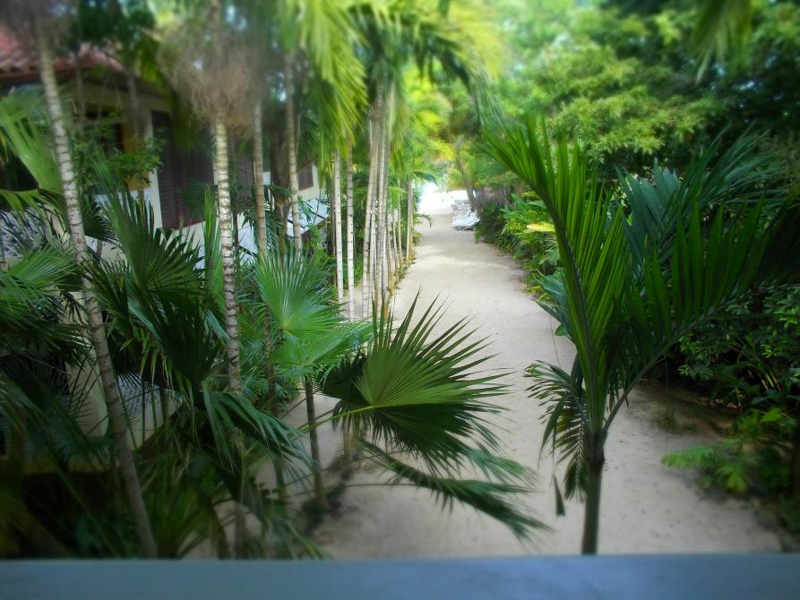 Name:  Negril 2012 045.jpg
Views: 640
Size:  95.3 KB