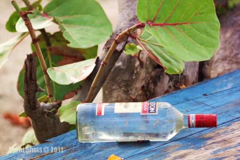Name:  bottle.jpg
Views: 1028
Size:  66.9 KB