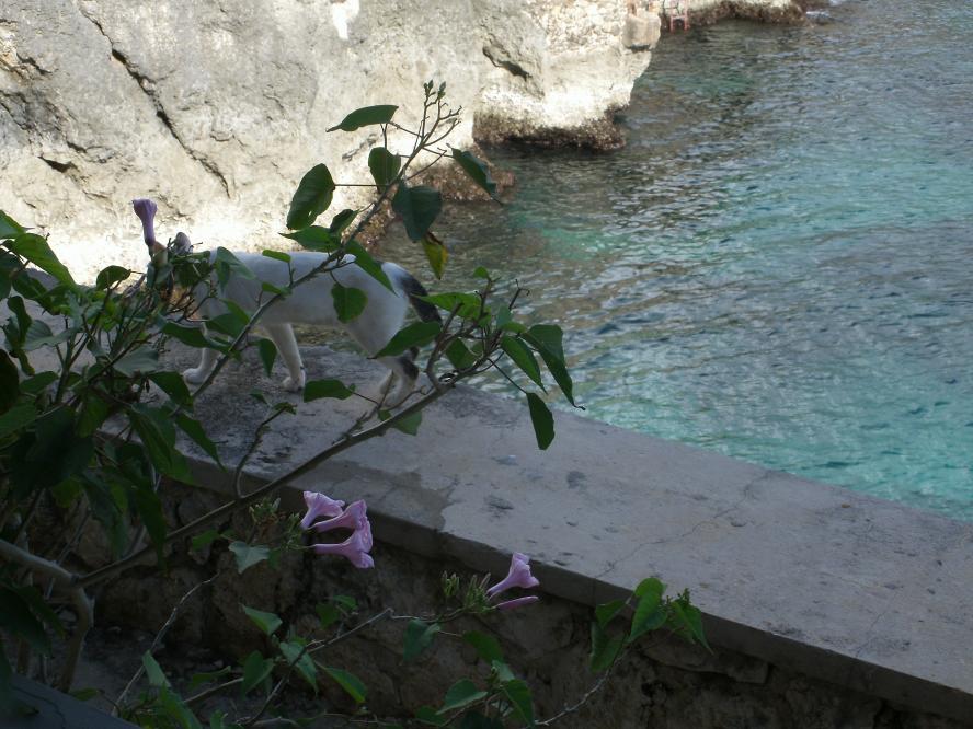 Name:  050.jpg
Views: 367
Size:  95.2 KB