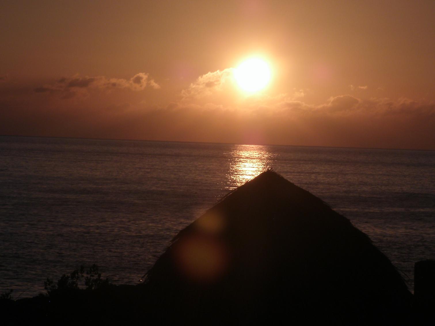 Name:  081.jpg
Views: 339
Size:  84.2 KB