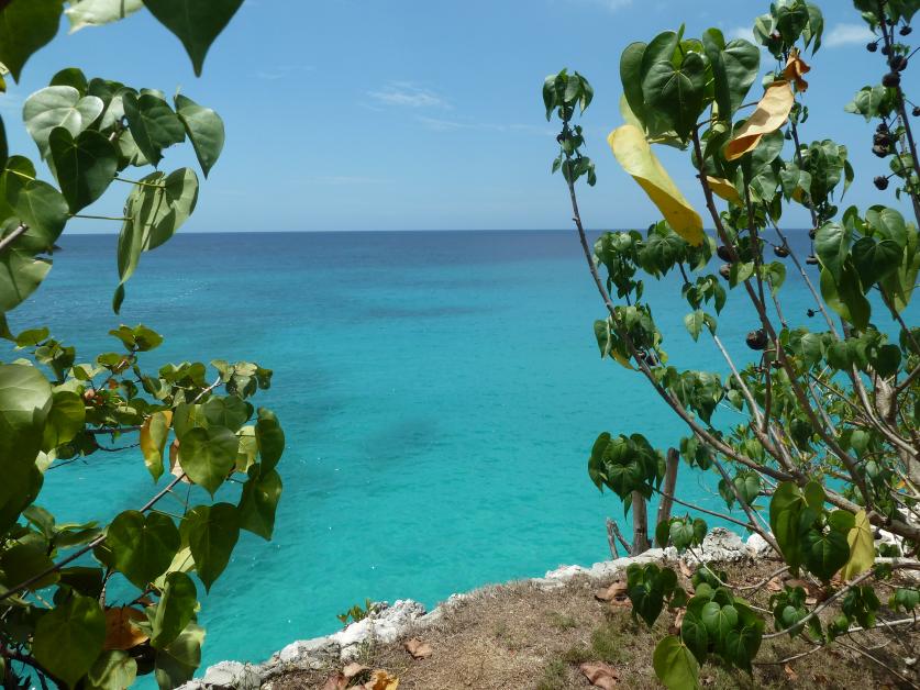 Name:  Negril 2012 001.jpg
Views: 1857
Size:  97.1 KB