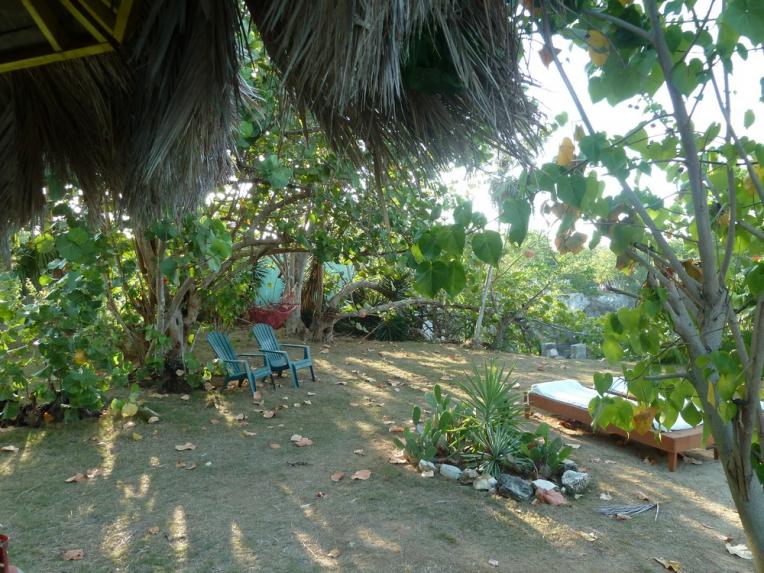 Name:  Negril 2012 036.jpg
Views: 1862
Size:  99.7 KB