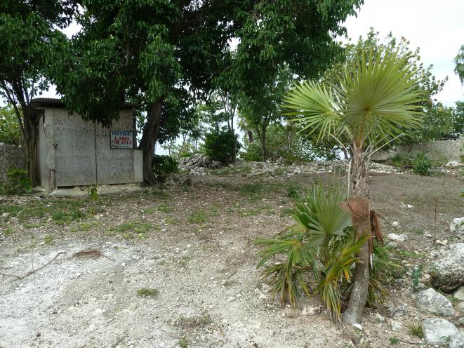 Name:  Negril 2012 065.jpg
Views: 1813
Size:  96.5 KB
