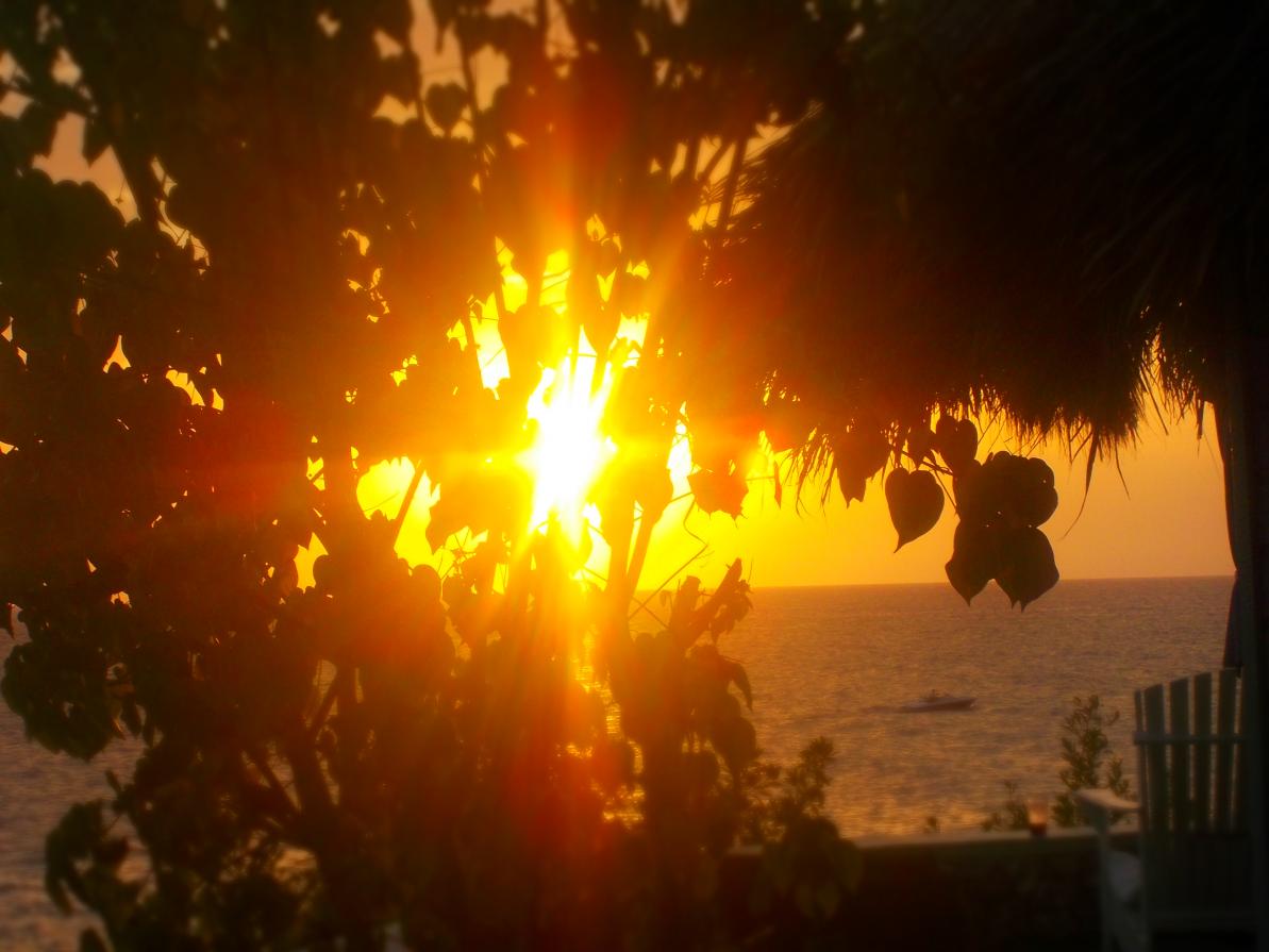 Name:  Negril 2012 016.jpg
Views: 1826
Size:  81.8 KB