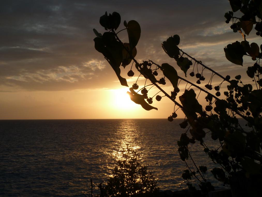Name:  Negril 2012 026.jpg
Views: 1601
Size:  90.1 KB