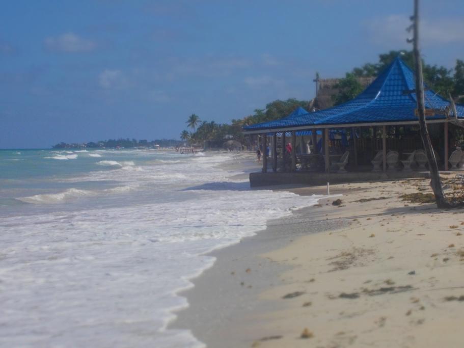 Name:  Negril 2012 120.jpg
Views: 1182
Size:  46.8 KB