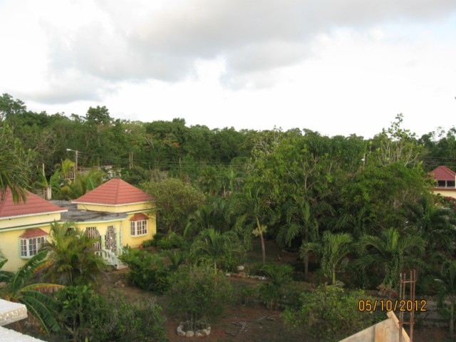 Name:  IMG_6992.JPG
Views: 510
Size:  76.6 KB