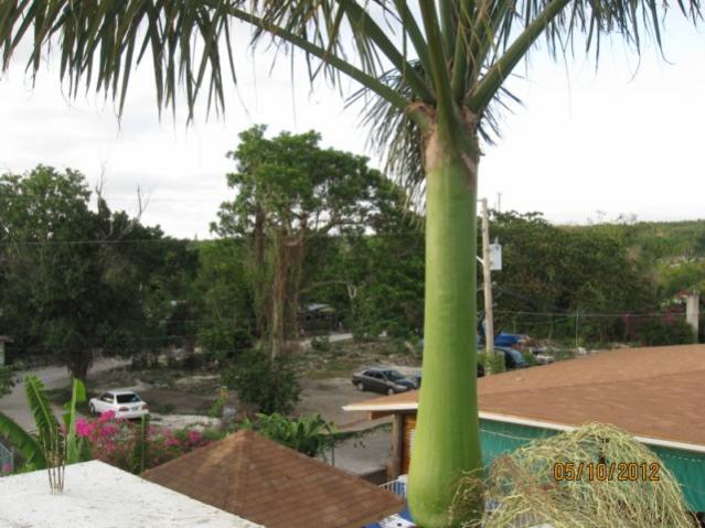 Name:  IMG_7000.jpg
Views: 441
Size:  51.4 KB