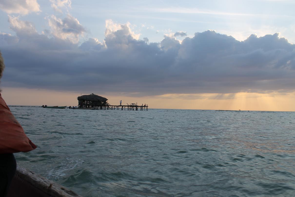 Name:  Pelican in the distance.jpg
Views: 722
Size:  91.1 KB