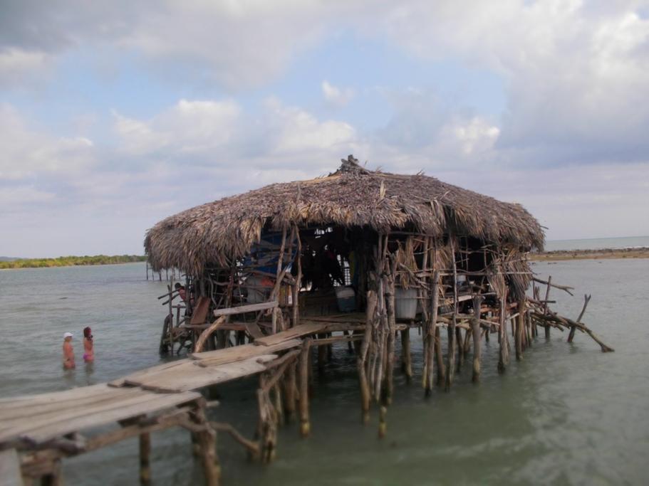 Name:  Negril 2012 187.jpg
Views: 1050
Size:  57.1 KB