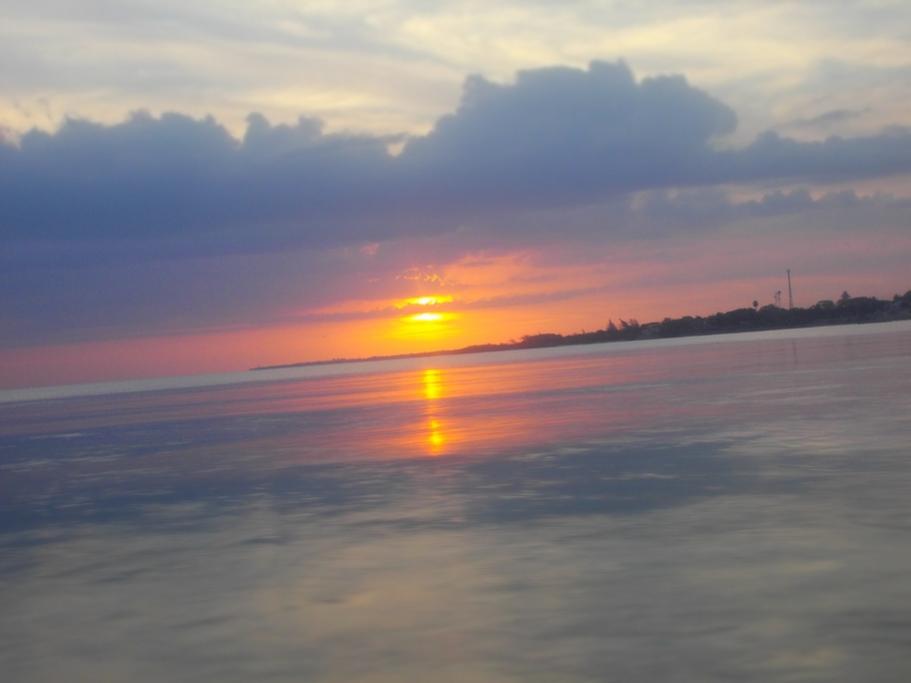 Name:  Negril 2012 195.jpg
Views: 1068
Size:  33.9 KB
