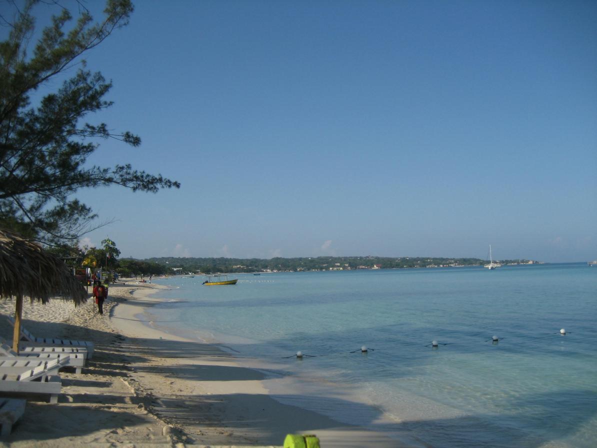 Name:  negril 2012 006.jpg
Views: 397
Size:  87.6 KB