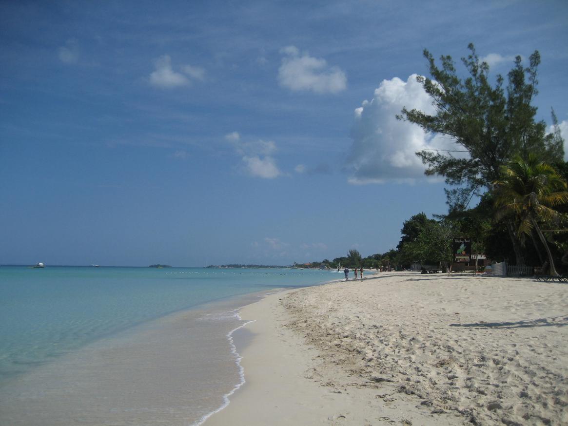Name:  negril 2012 015.jpg
Views: 380
Size:  91.5 KB