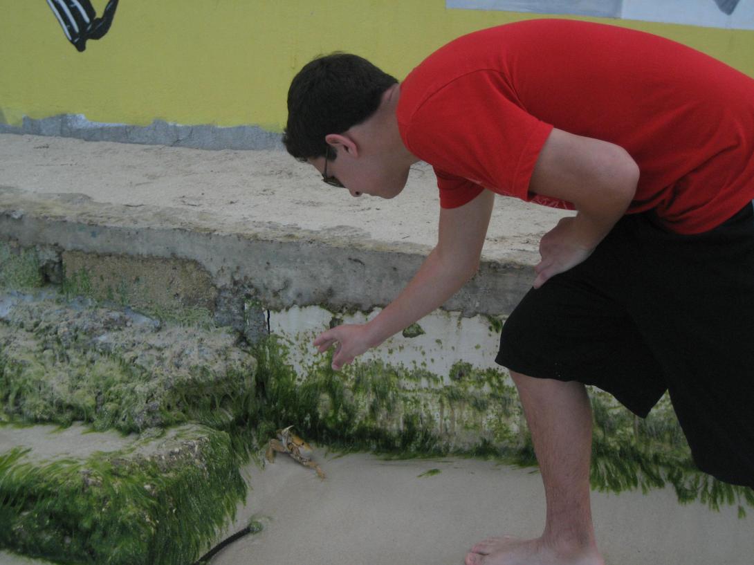 Name:  negril 2012 033.jpg
Views: 299
Size:  93.2 KB
