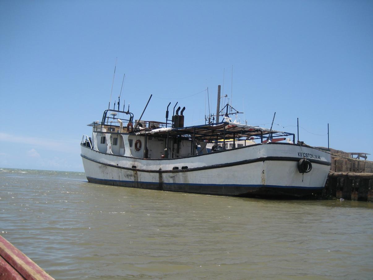 Name:  negril 2012 217.jpg
Views: 299
Size:  88.0 KB