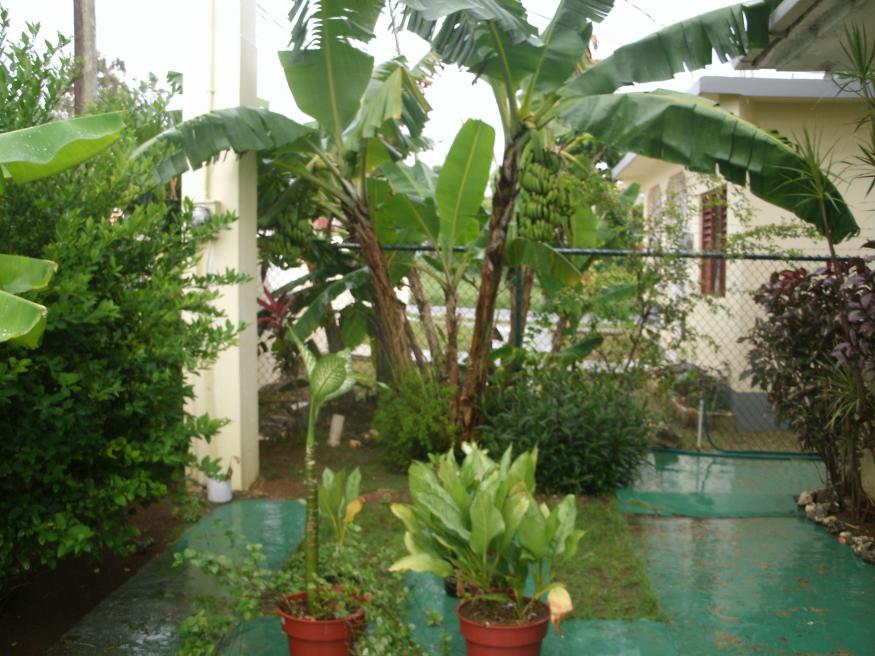 Name:  004.jpg
Views: 382
Size:  94.0 KB