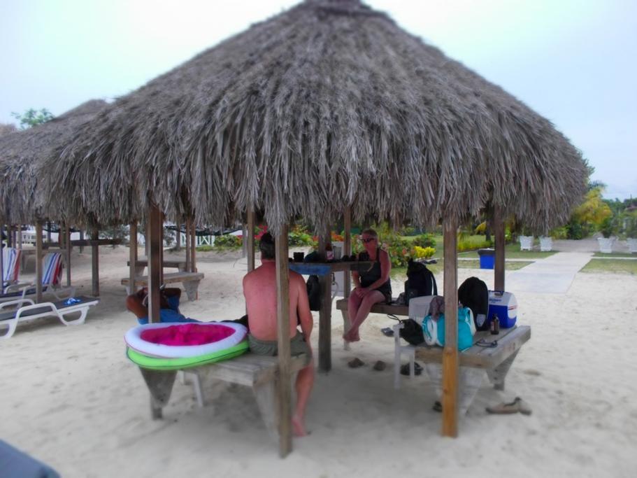 Name:  Negril 2012 260.jpg
Views: 1115
Size:  74.4 KB