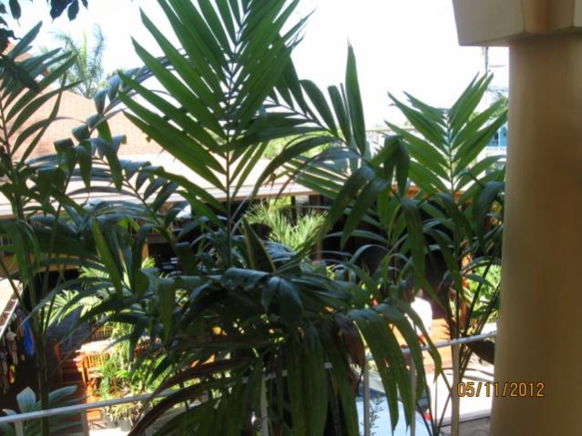 Name:  IMG_7016.jpg
Views: 304
Size:  57.7 KB