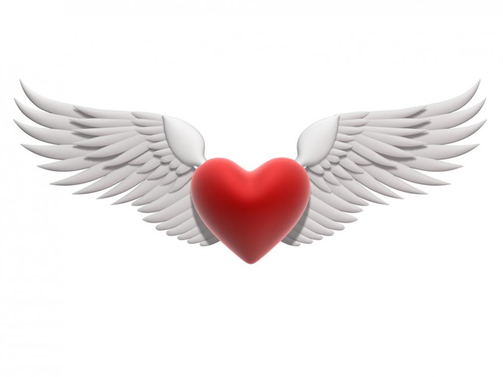 Name:  Heart%20with%20wings.jpg
Views: 267
Size:  31.3 KB