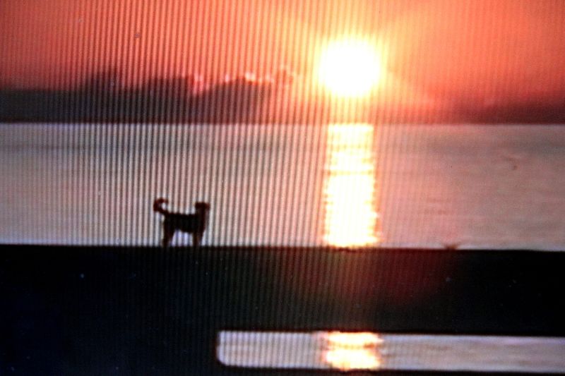 Name:  Sunset2.jpg
Views: 179
Size:  53.0 KB