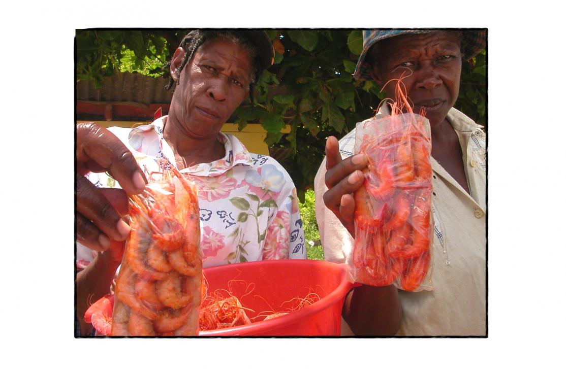 Name:  ysshrimpladies.jpg
Views: 1585
Size:  90.3 KB