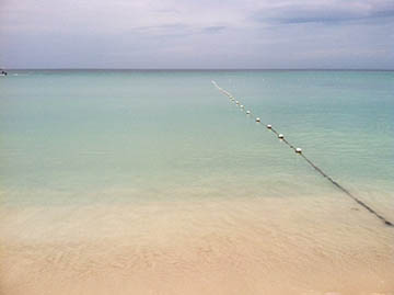 Name:  beach photo.JPG
Views: 606
Size:  22.7 KB