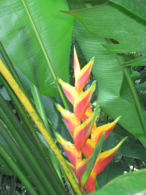 Name:  057.JPG
Views: 442
Size:  96.7 KB