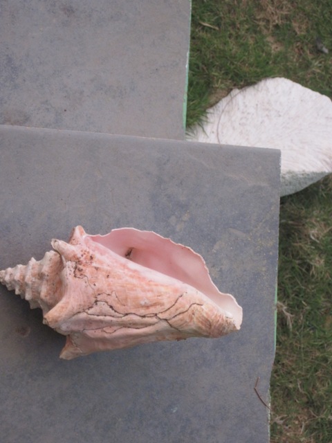Name:  013.JPG
Views: 435
Size:  85.7 KB
