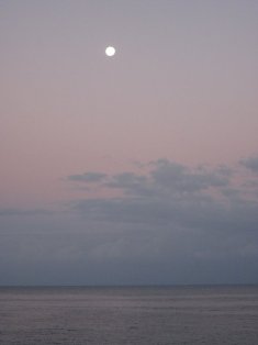 Name:  JA Sunrise.jpg
Views: 430
Size:  8.5 KB