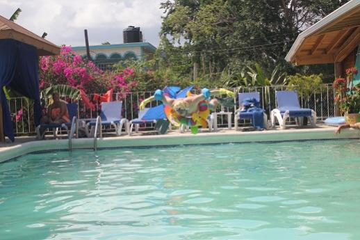 Name:  flugtag air.jpg
Views: 1305
Size:  36.9 KB