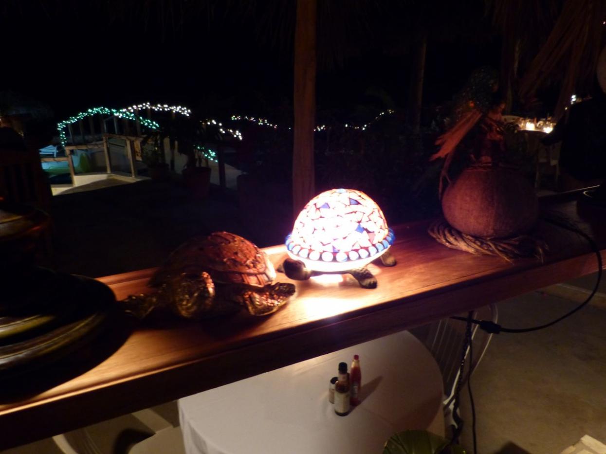 Name:  P1000327.jpg
Views: 934
Size:  78.3 KB