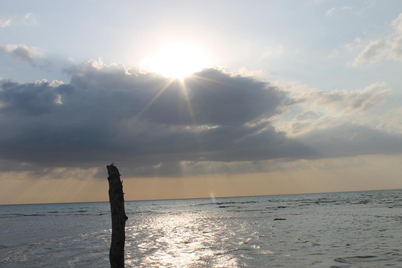 Name:  r1.jpg
Views: 899
Size:  91.2 KB