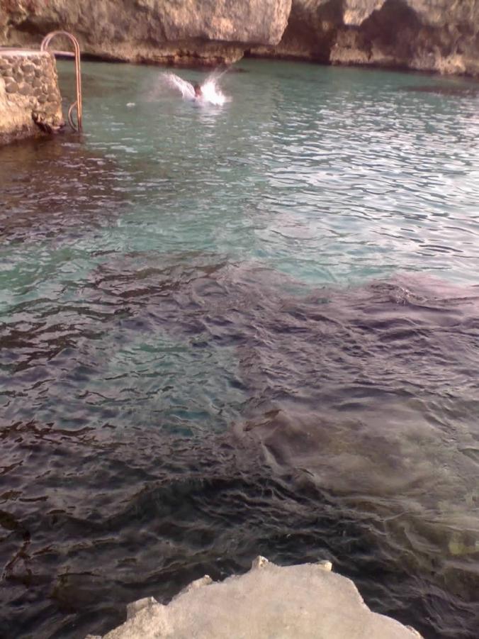Name:  jamaica 2 065.jpg
Views: 402
Size:  94.2 KB