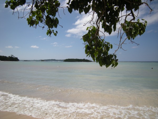 Name:  Jamaica 2009 - Half Moon Beach - DSCN9383.jpg
Views: 345
Size:  64.6 KB