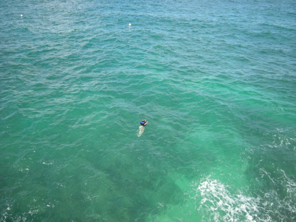 Name:  Jamaica 2009 - Negril - Blue Cave Castle - DSCN9671.jpg
Views: 315
Size:  74.3 KB
