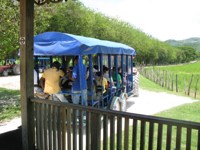 Name:  tram.jpg
Views: 1382
Size:  82.8 KB