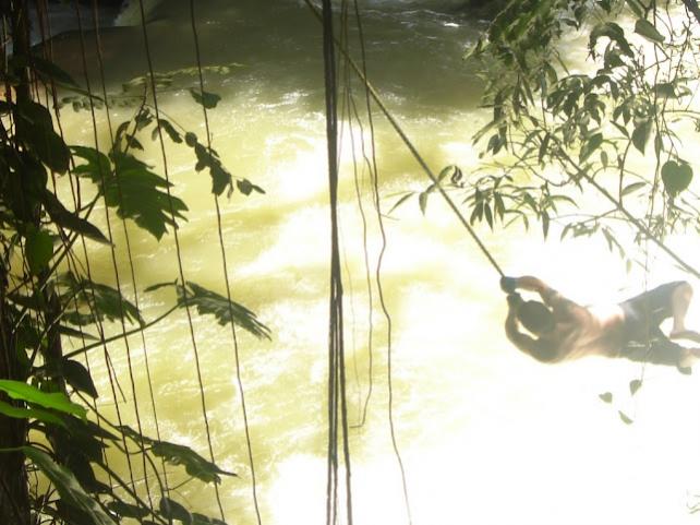 Name:  new swing.jpg
Views: 1339
Size:  51.4 KB