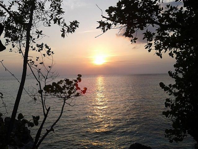 Name:  t3.jpg
Views: 1402
Size:  70.0 KB