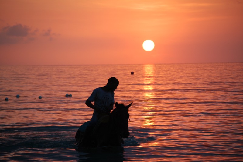 Name:  days end2.jpg
Views: 436
Size:  78.1 KB