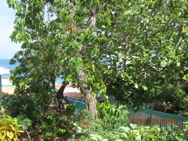 Name:  IMG_0614.jpg
Views: 938
Size:  102.5 KB