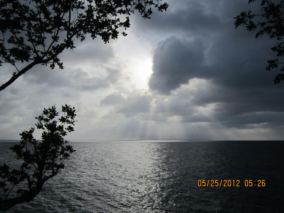 Name:  Negril 2012 171.jpg
Views: 914
Size:  92.4 KB