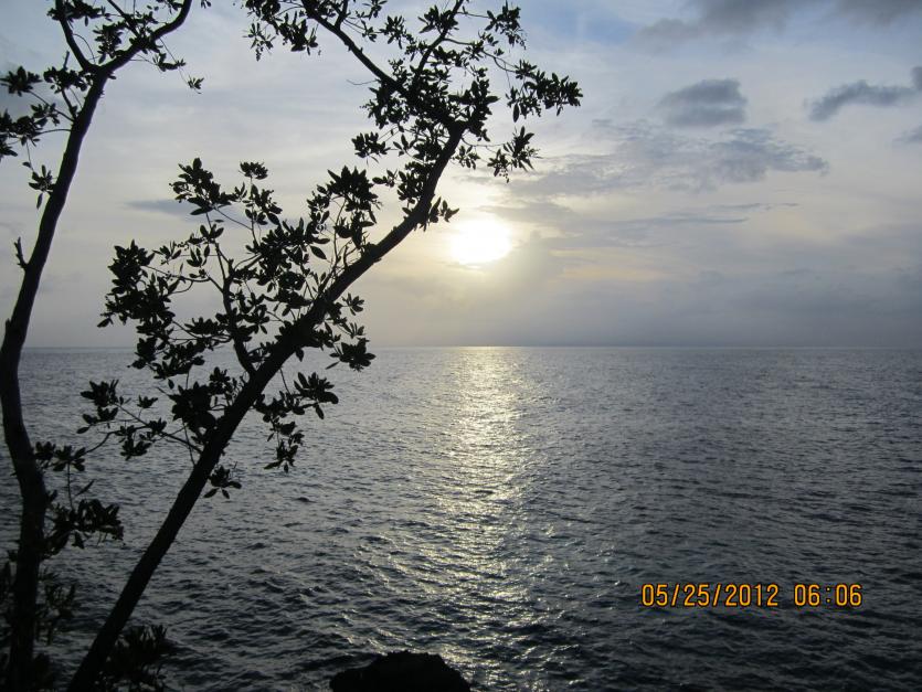 Name:  Negril 2012 173.jpg
Views: 895
Size:  97.6 KB